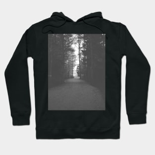 From Darkness to Light, Forest Trail V4 Hoodie